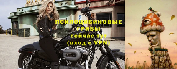 стафф Вязники