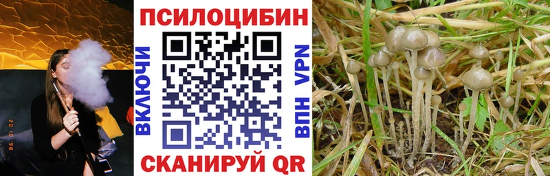 Псилоцибиновые грибы MAGIC MUSHROOMS  Купить закладки  Заринск 